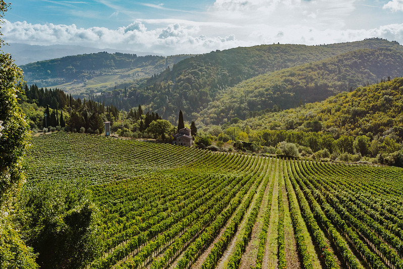 chianti winery tour